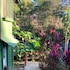 corcovado and drake inn