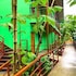 corcovado and drake inn
