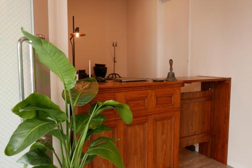 tokyo sakurako hatchobori