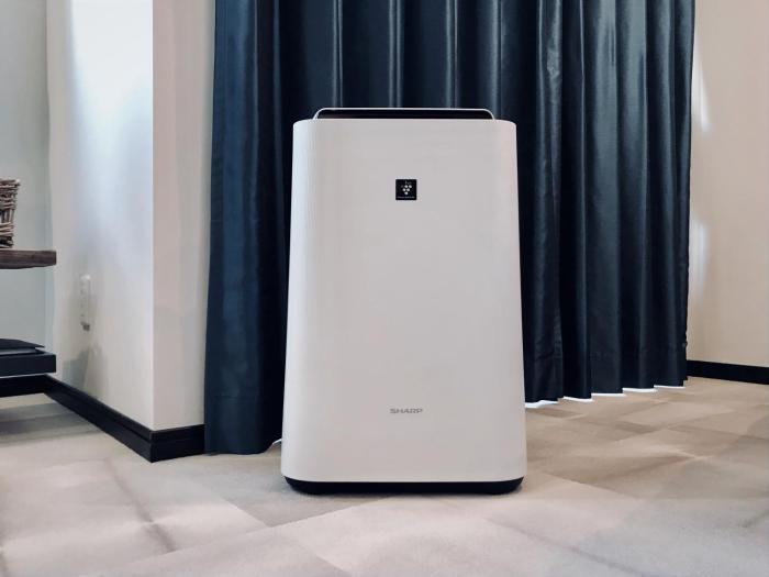 tokyo sakurako hatchobori