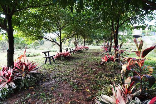 hug jang loei garden