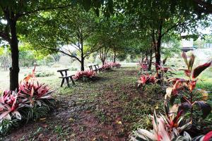 hug jang loei garden