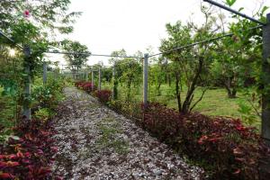 hug jang loei garden
