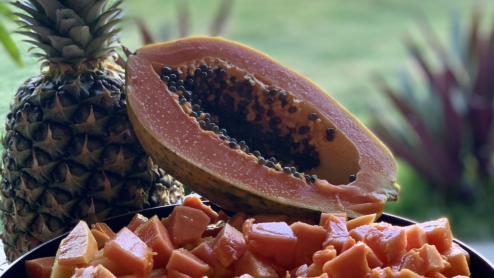 punta popy boutique hotel