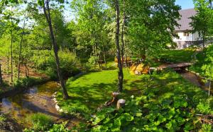 plitvice streaming