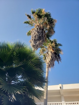City-Image