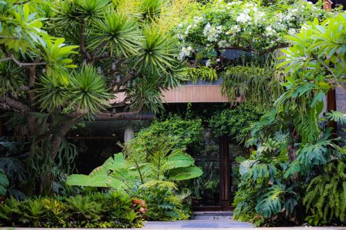 k house vs apartment