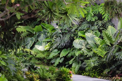 k house vs apartment