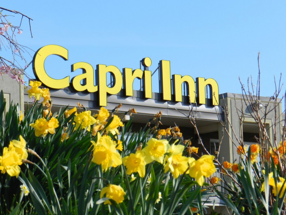 capri inn