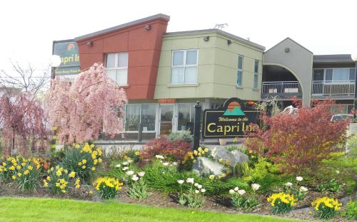 capri inn