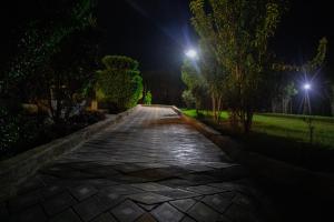siaya