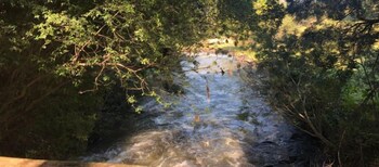 africamps at gowan valley glamping