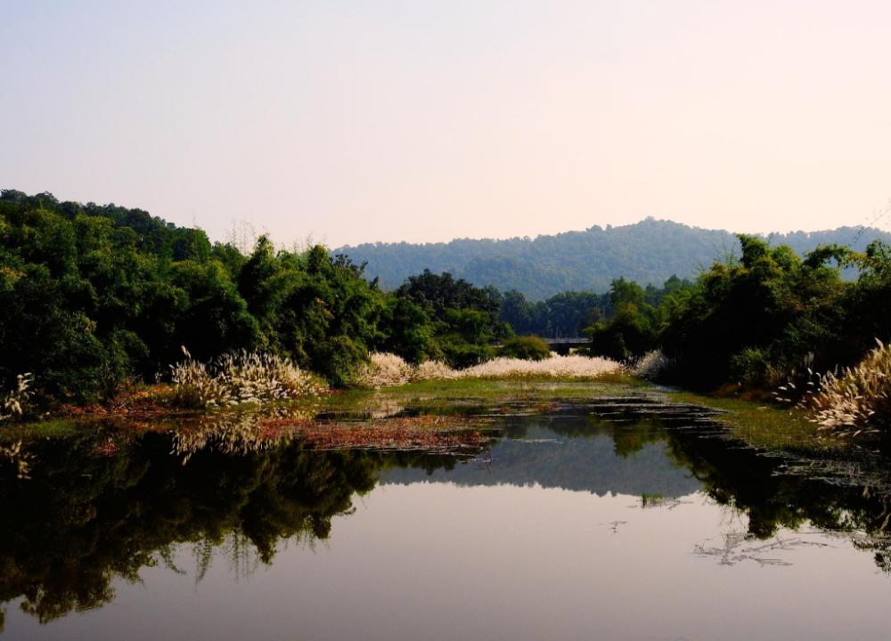 the tiger valley resort