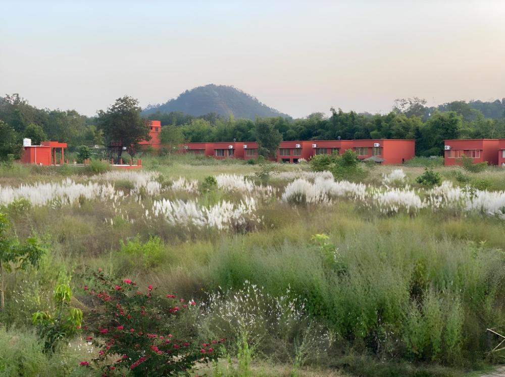 the tiger valley resort