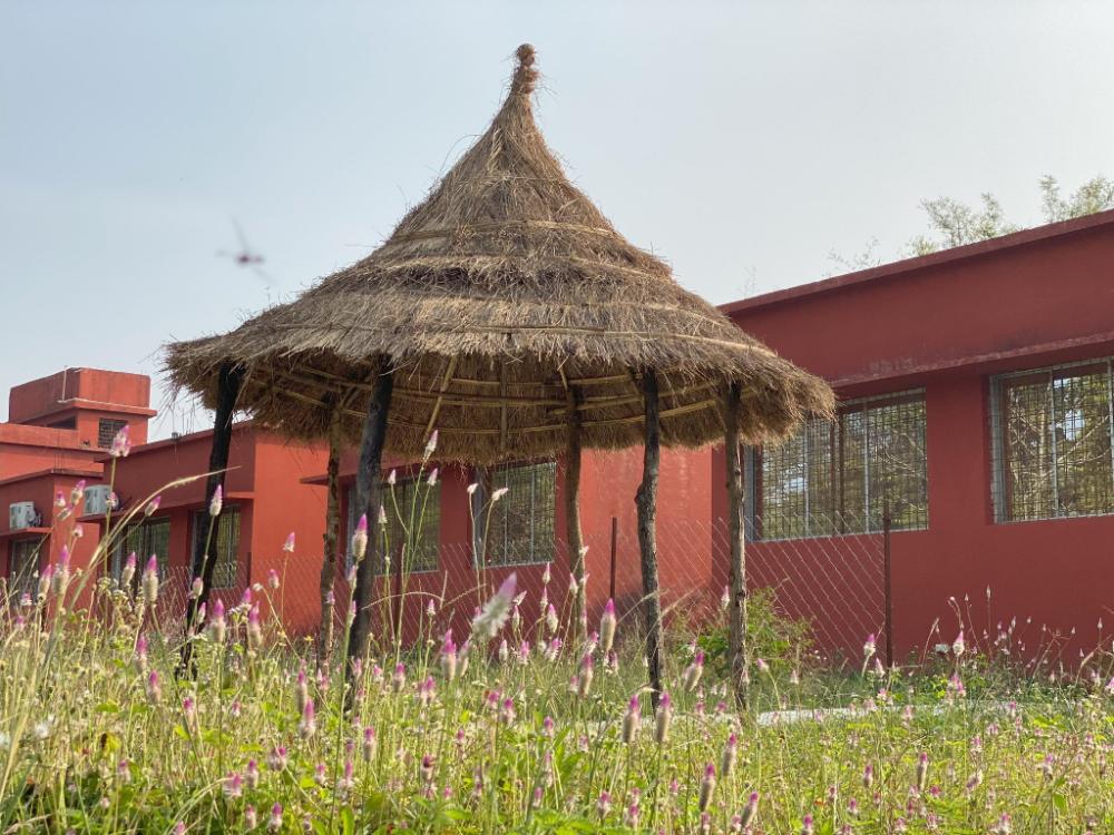 the tiger valley resort