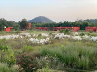 the tiger valley resort