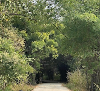 the tiger valley resort