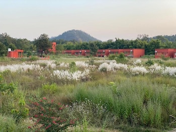 the tiger valley resort