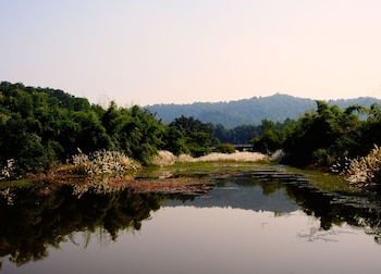 the tiger valley resort