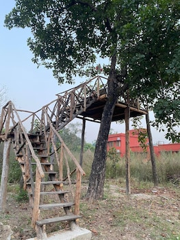 the tiger valley resort