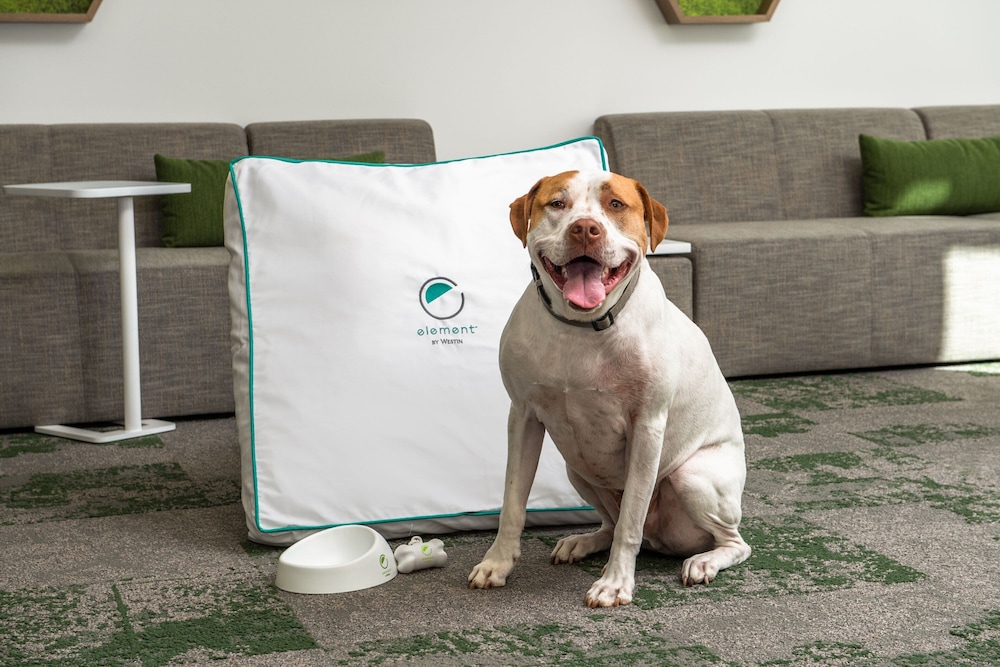 element san jose milpitas