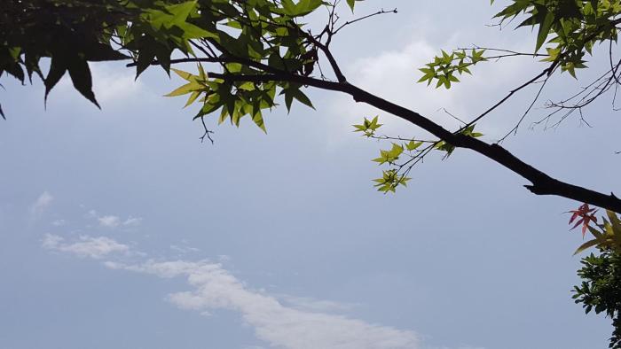 peace area hot spring hotel