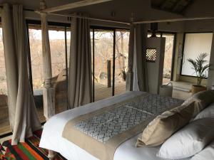 the wild blue lodge safari and spa