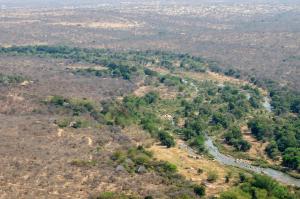 the wild blue lodge safari and spa