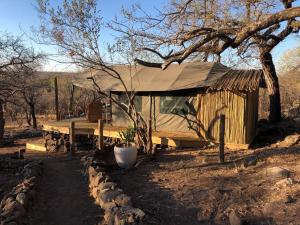 the wild blue lodge safari and spa