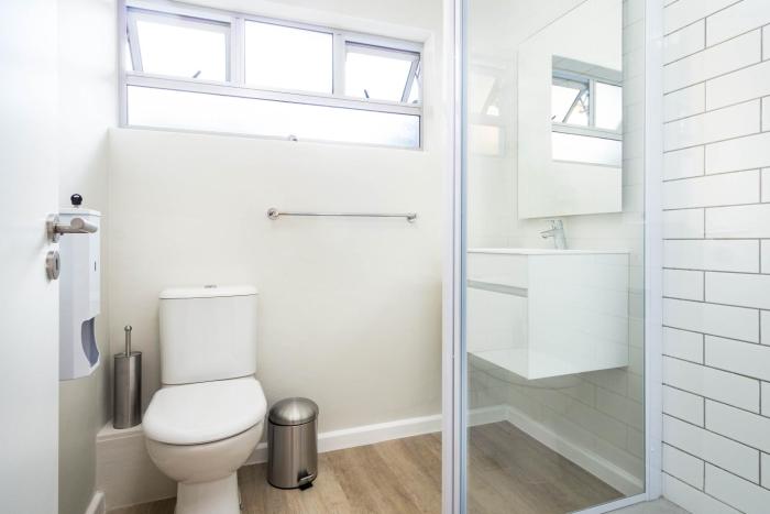 curiocity cape town hostel