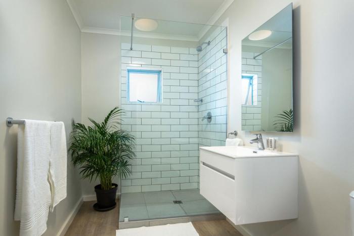 curiocity cape town hostel