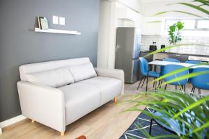 curiocity cape town hostel