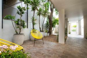 curiocity cape town hostel