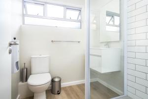 curiocity cape town hostel