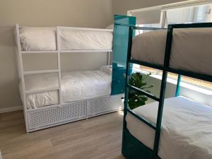 curiocity cape town hostel