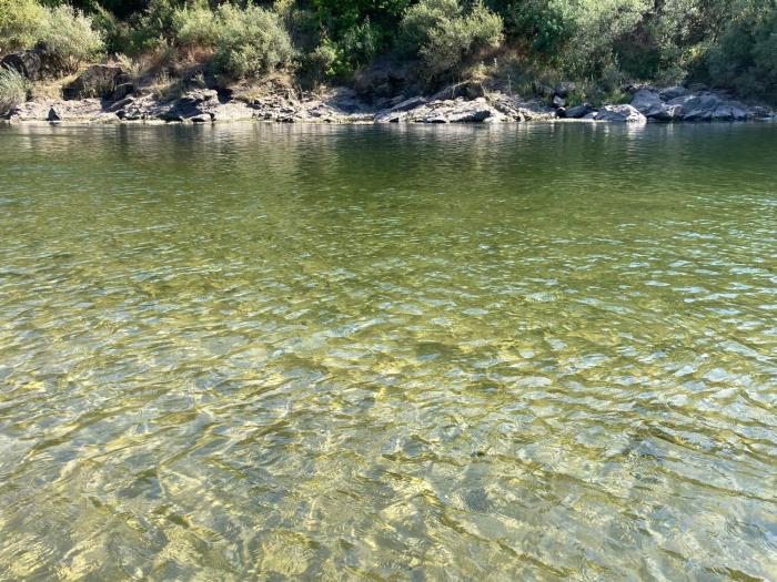 constancia guest house