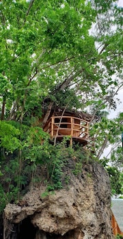 coral canyon romblon hostel