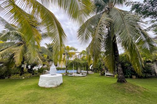 isla virginia fun talan