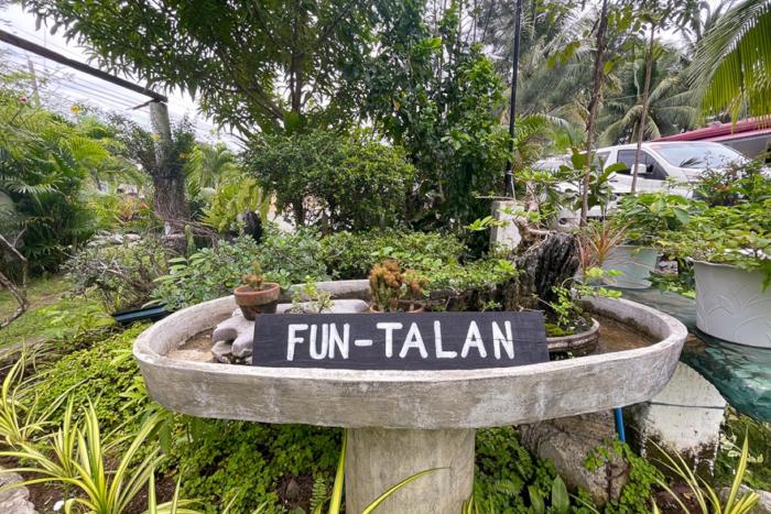 isla virginia fun talan