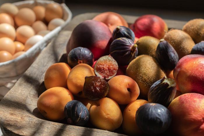 can auli luxury retreat adults only