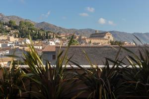 can auli luxury retreat adults only