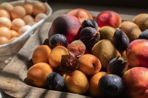 can auli luxury retreat adults only