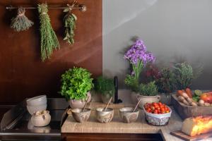 can auli luxury retreat adults only