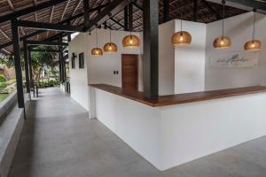 bird of paradise bohol resort