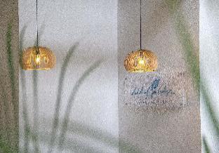 bird of paradise bohol resort