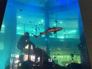 the hotels hakata kasane bayside