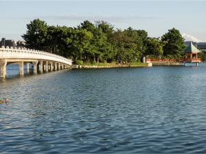 the hotels hakata kasane bayside