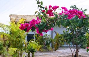 the secret garden koh rong