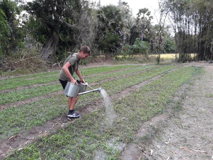 kakrona pouk homestay