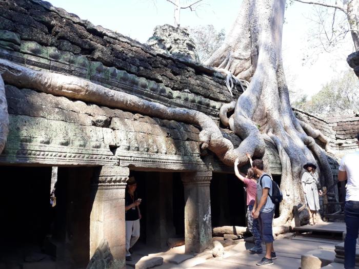 kakrona pouk homestay